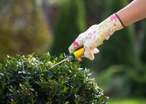 Inclusive web access image for local gardening services