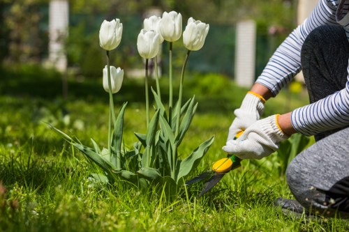 Garden maintenance in Perivale with tidy lawn and hedges