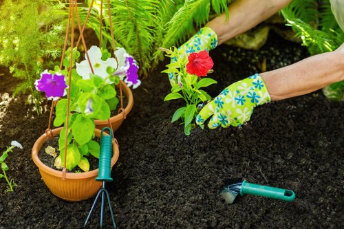 Public liability insurance and professional garden safety for Perivale