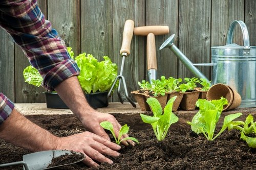 Hard and soft landscaping features in a Perivale backyard
