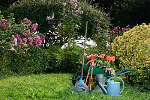 Professional lawn mowing service in Perivale