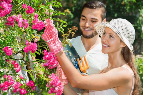 Tree lopping work being carried out in a Perivale garden