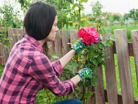 Commercial fencing solutions in Perivale