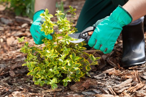 Healthy lawn care in Perivale with neatly cut green grass