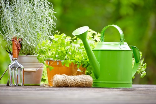 Autumn lawn care in Perivale with leaf clearing and turf treatment