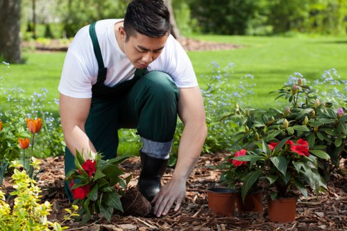 Seasonal garden care in Perivale with pruning and cleanup