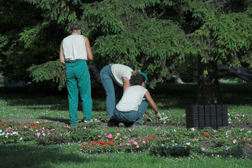 Soft landscaping and planting design for Perivale gardens