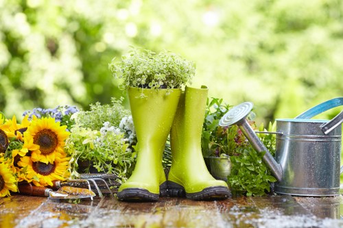 Seasonal garden upkeep and planting support in Perivale