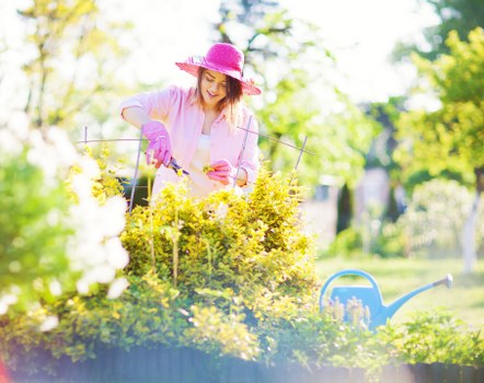 Perivale garden maintenance with trimmed plants and tidy borders