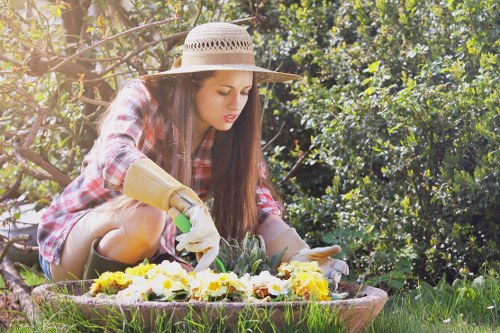 Professional lawn care in Perivale improving a residential garden