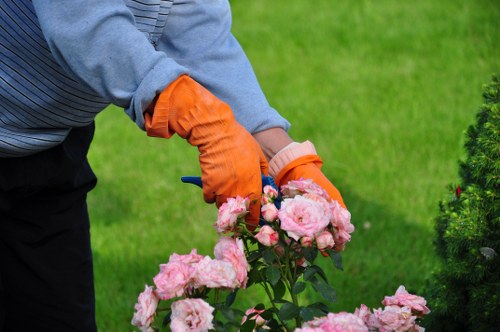 Garden waste compliance and lawful disposal procedures