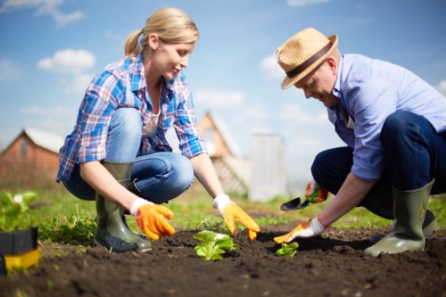 Example garden jobs for homes and busy streets in Perivale