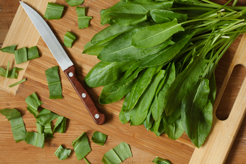 Garden outdoor space